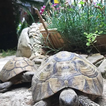 아파트 Paradise Garden