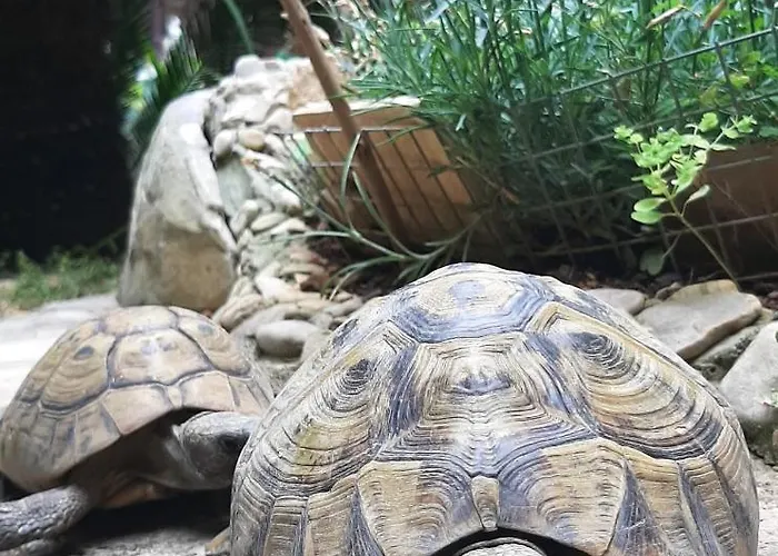 Апартаменты Paradise Garden